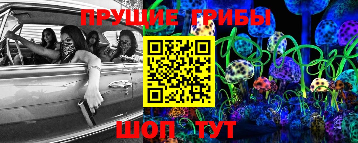 Псилоцибиновые грибы Psilocybe Людиново