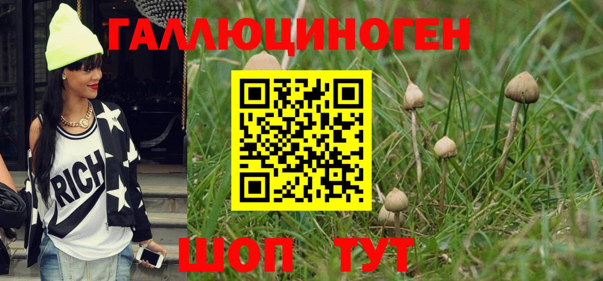 Людиново  Галлюциногенные грибы Psilocybine cubensis  Вход с VPN  Галлюциногенные грибы Magic Shrooms 